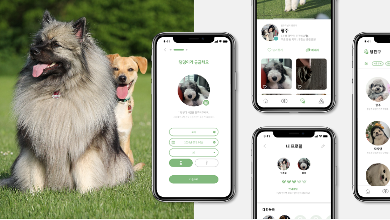 사용자 중심 디자인 (UX/UI)